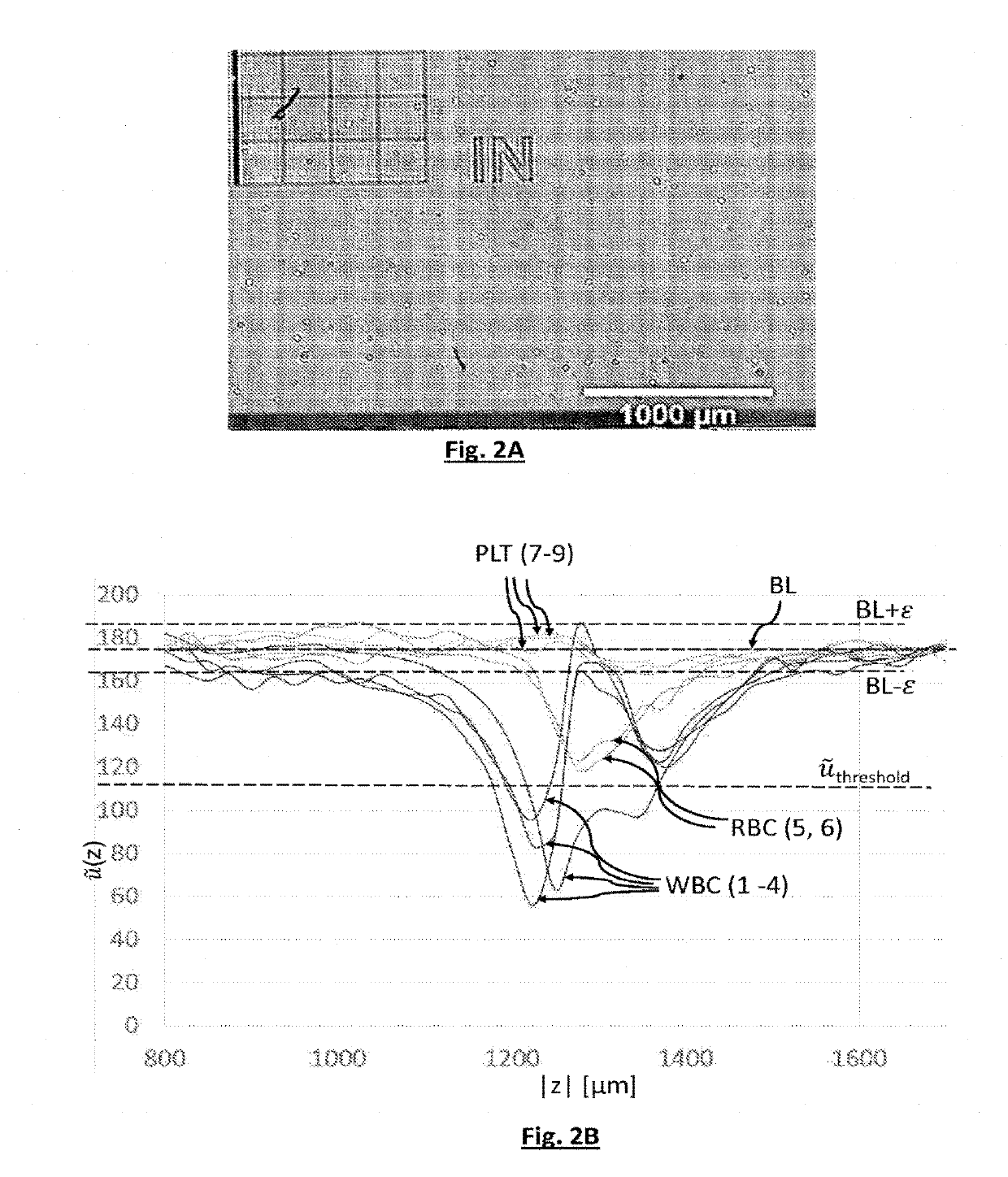 Method for identifying blood particles using a photodetector