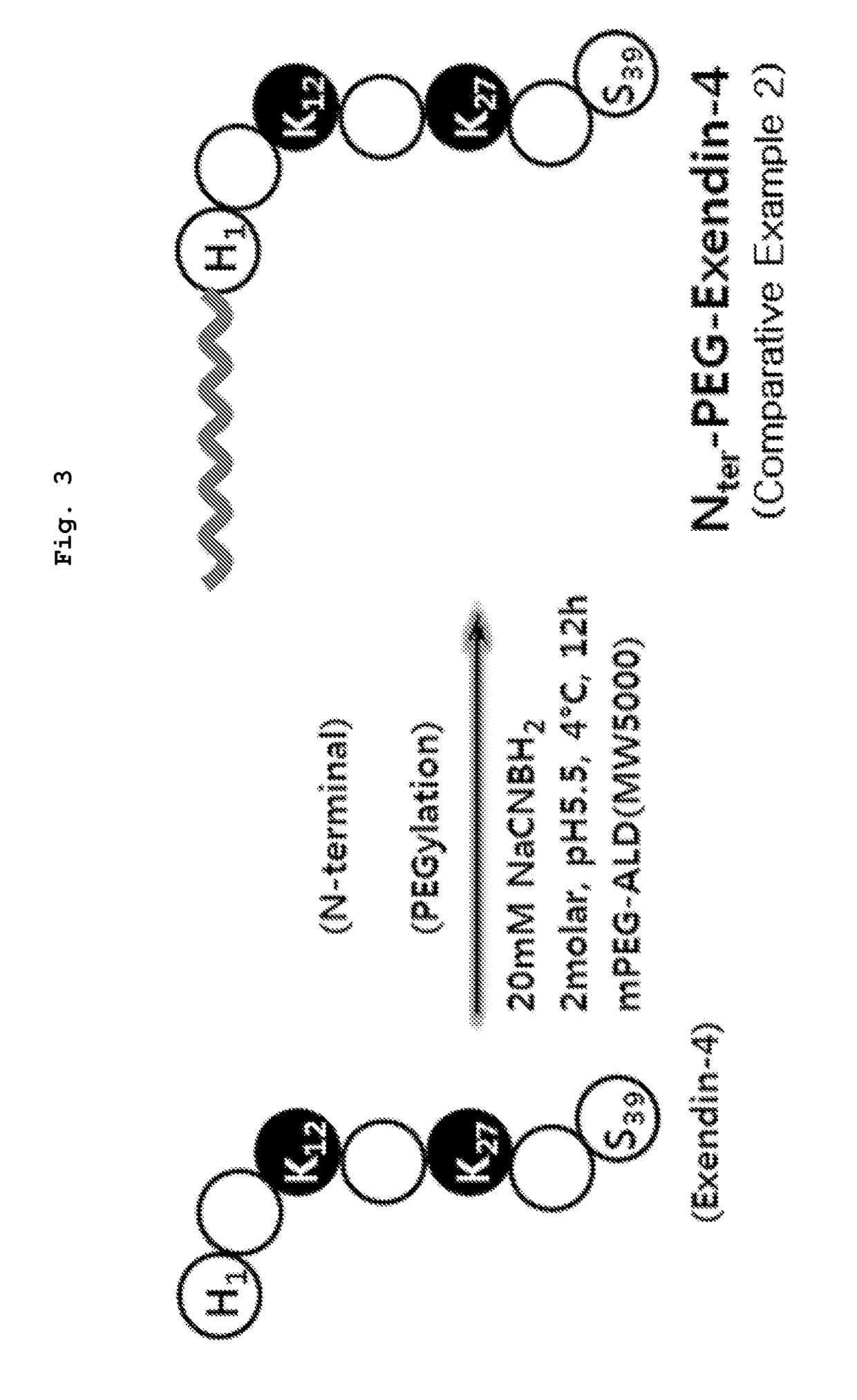 Exendin-4 analogue pegylated with polyethylene glycol or derivative thereof, preparation method thereof, and pharmaceutical composition for preventing or treating diabetes, containing same as active ingredient