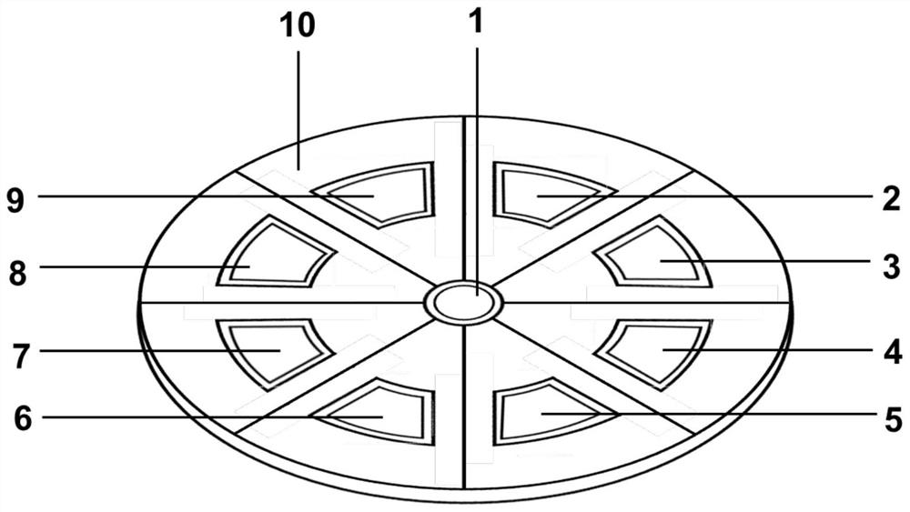 Cerebrospinal fluid automatic sample separation detection disc