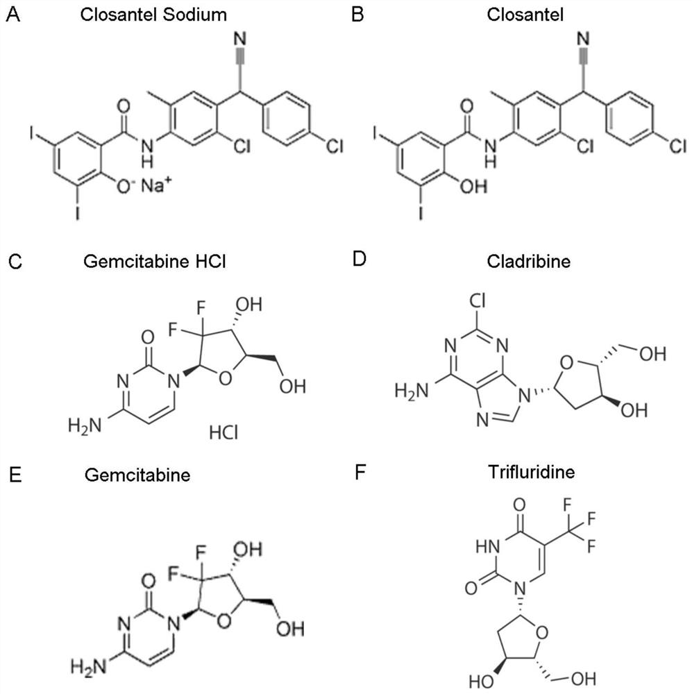 Application of six small molecule drugs in inhibition of canine parvovirus