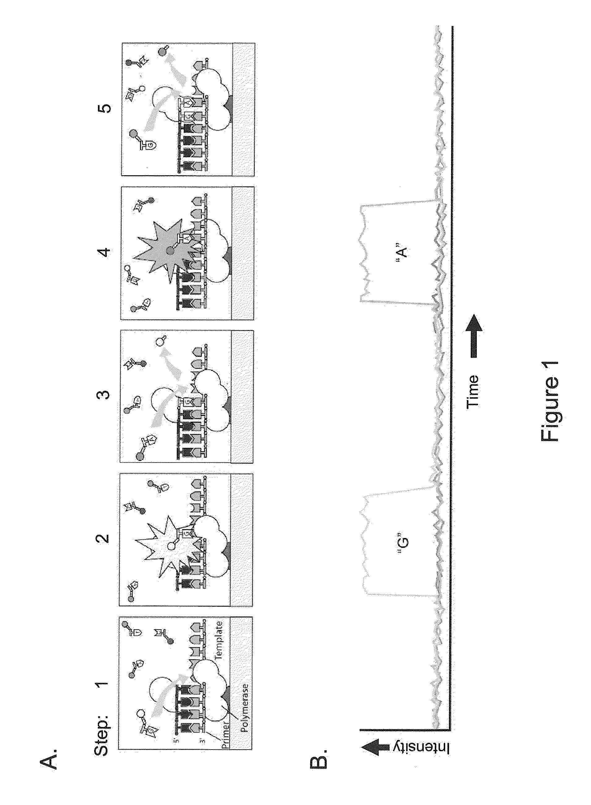 Methods for identifying nucleic acid modifications