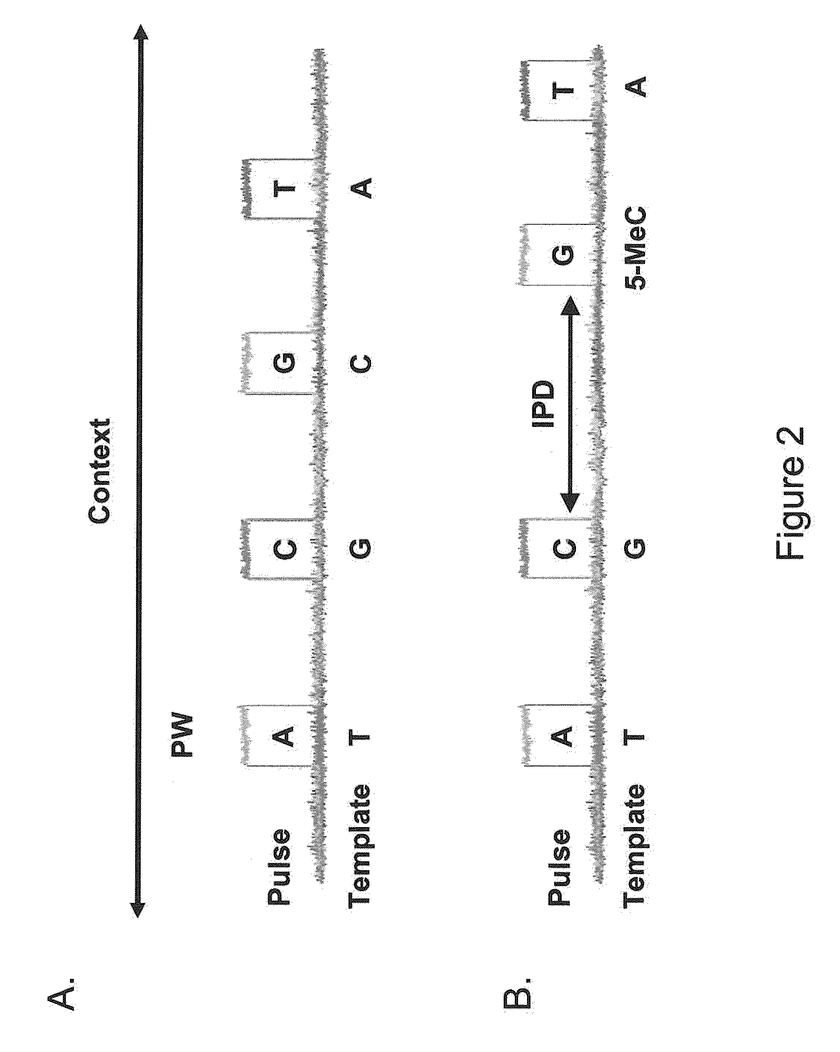 Methods for identifying nucleic acid modifications