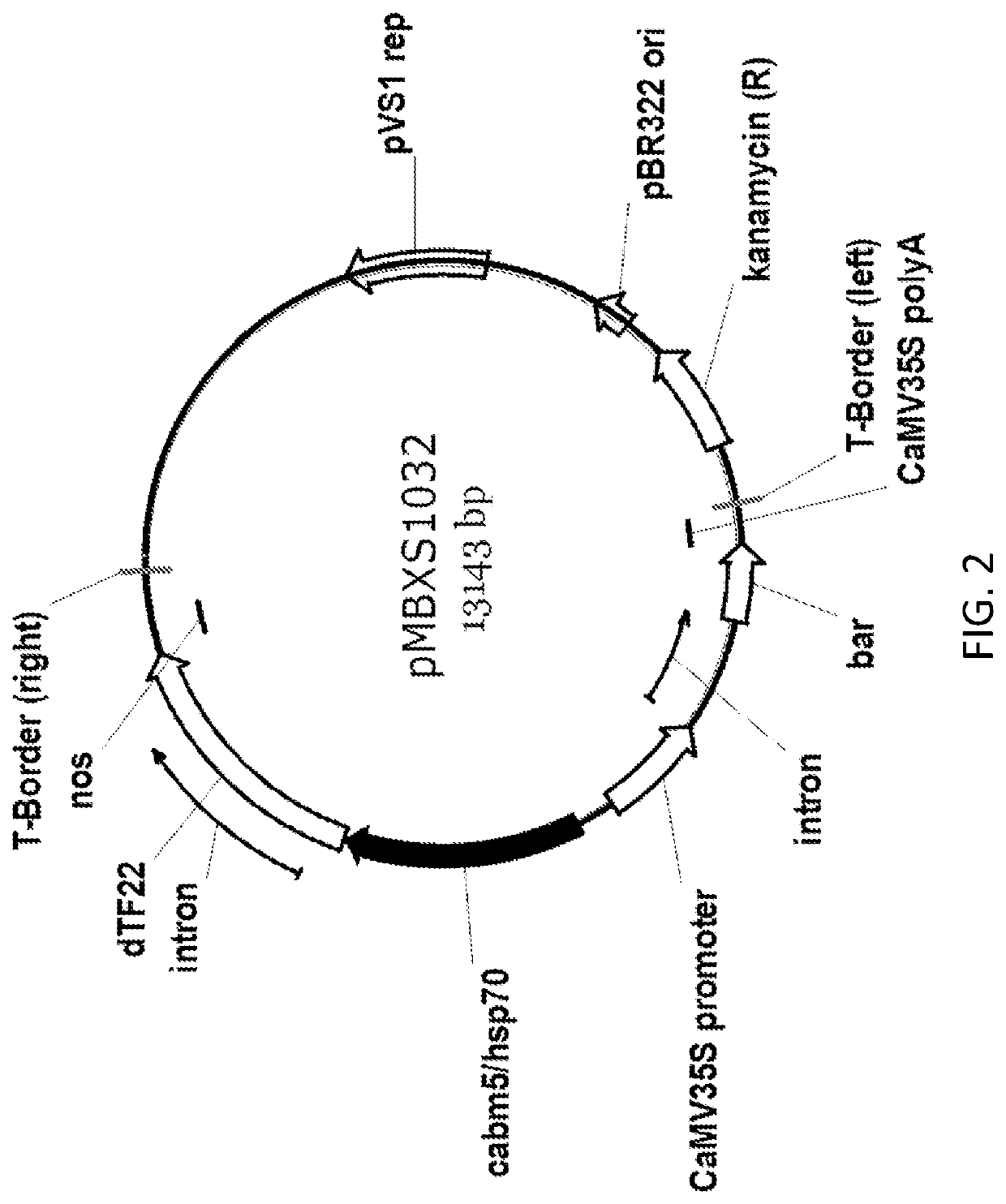 Genes and gene combinations for enhanced crops