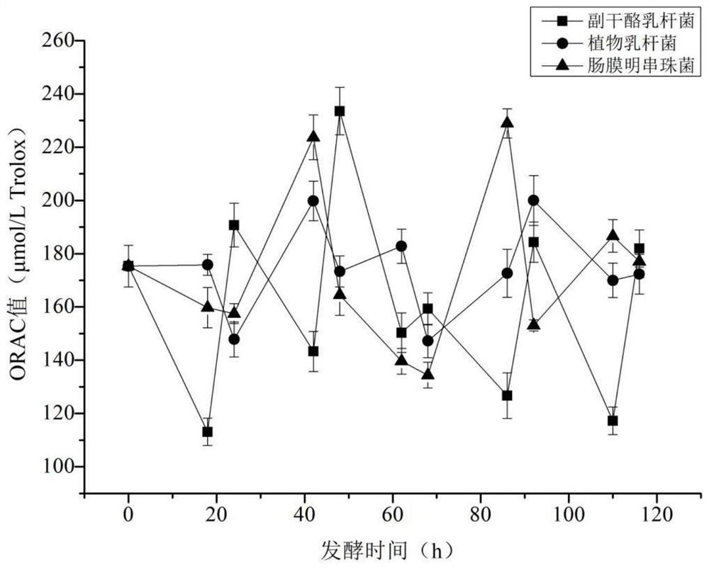 Acai fermentation method and fermentation product