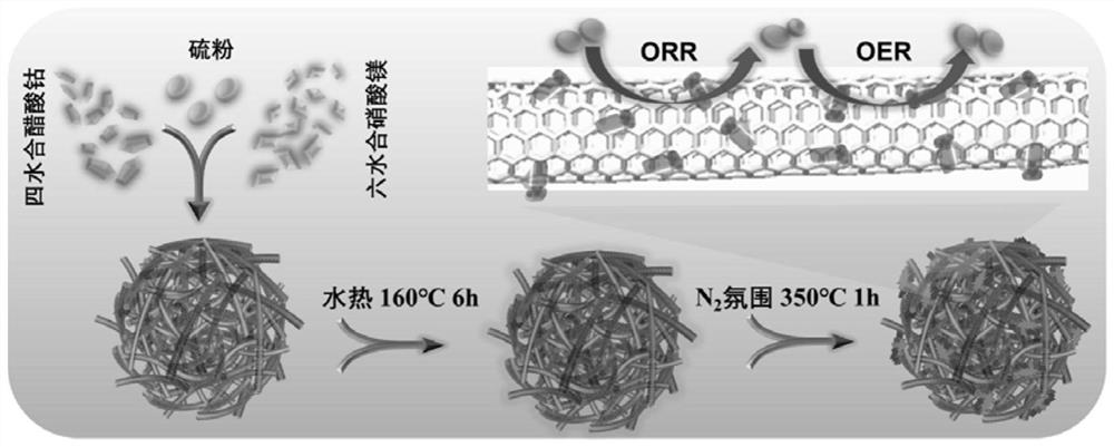 A kind of magnesium-doped cobalt disulfide composite carbon nanotube material, preparation method and application