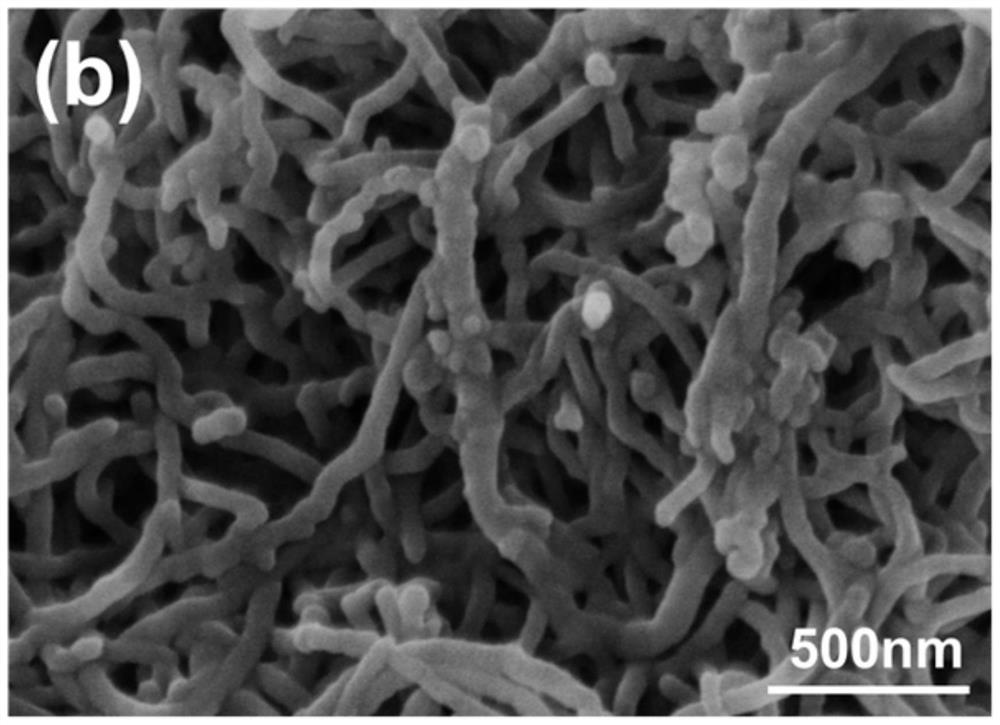 A kind of magnesium-doped cobalt disulfide composite carbon nanotube material, preparation method and application