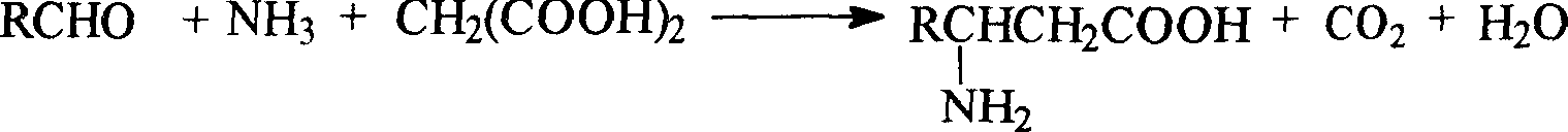 Process for synthesizing beta-amino acid using ketone as raw material