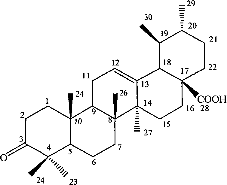 Method for preparing ursolic acid derivative 3-o-keto-12-alkenyl-28-ursolic acid