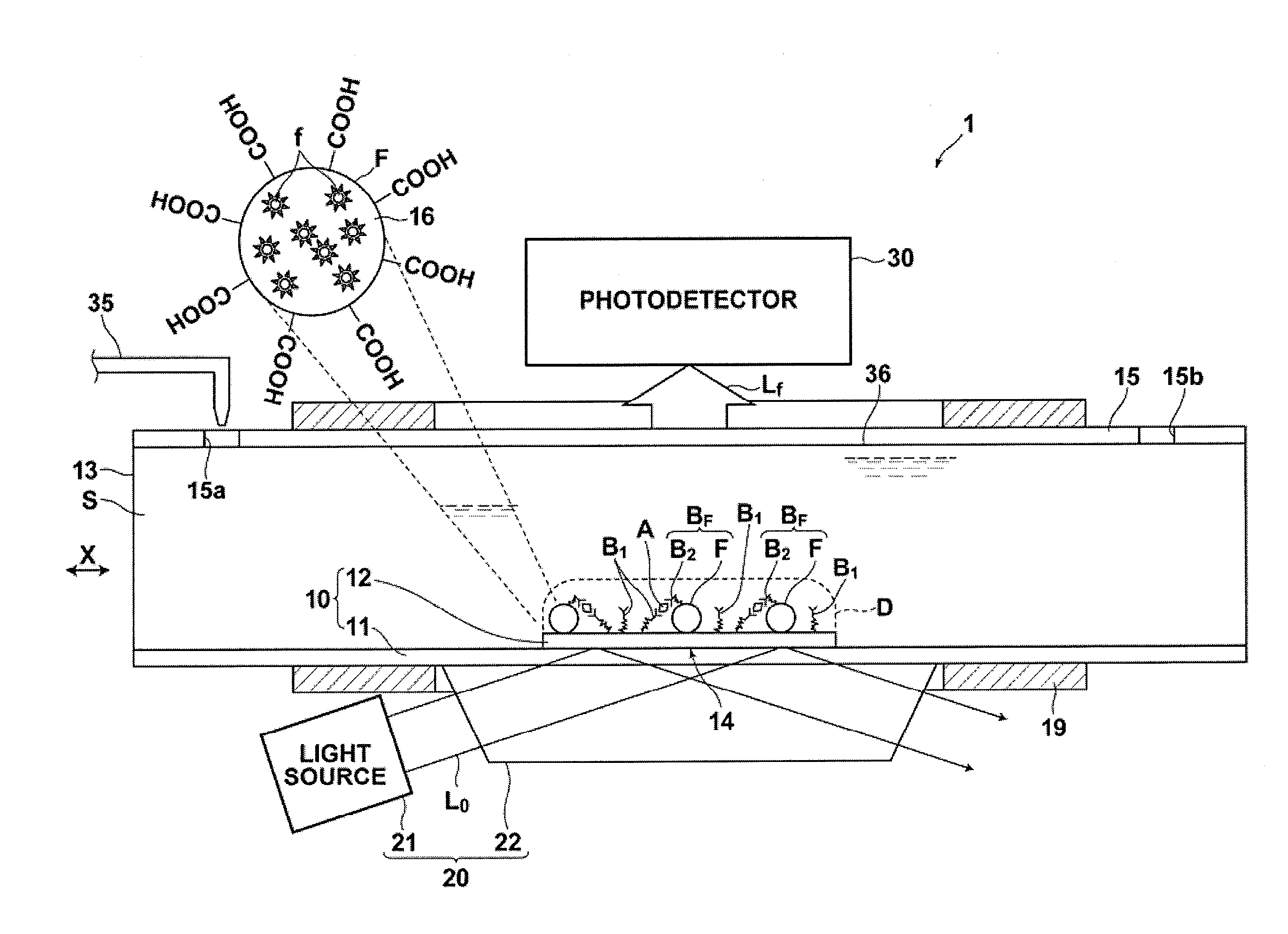 Detection method, detection apparatus, and sample cell and kit for detection