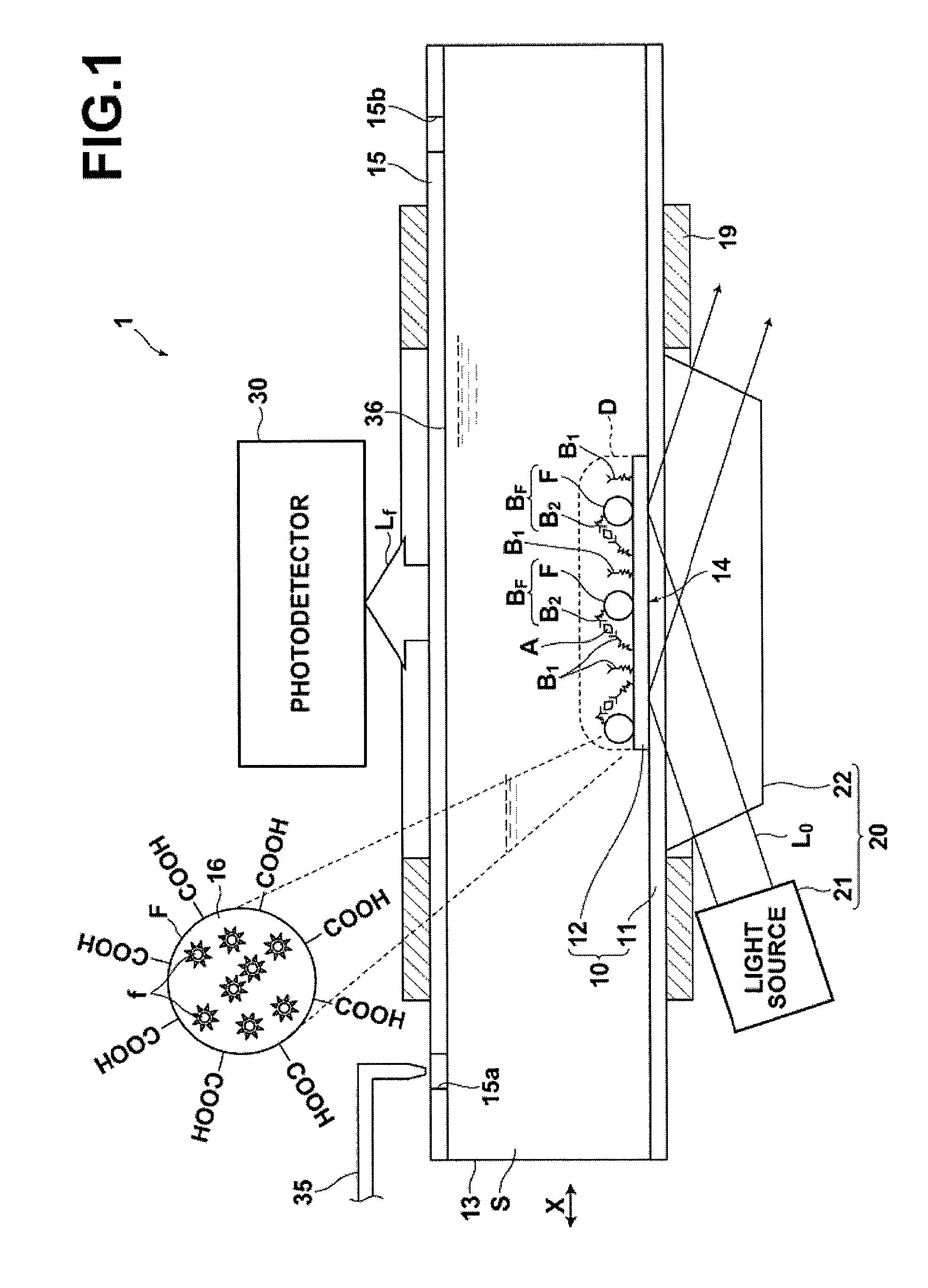 Detection method, detection apparatus, and sample cell and kit for detection