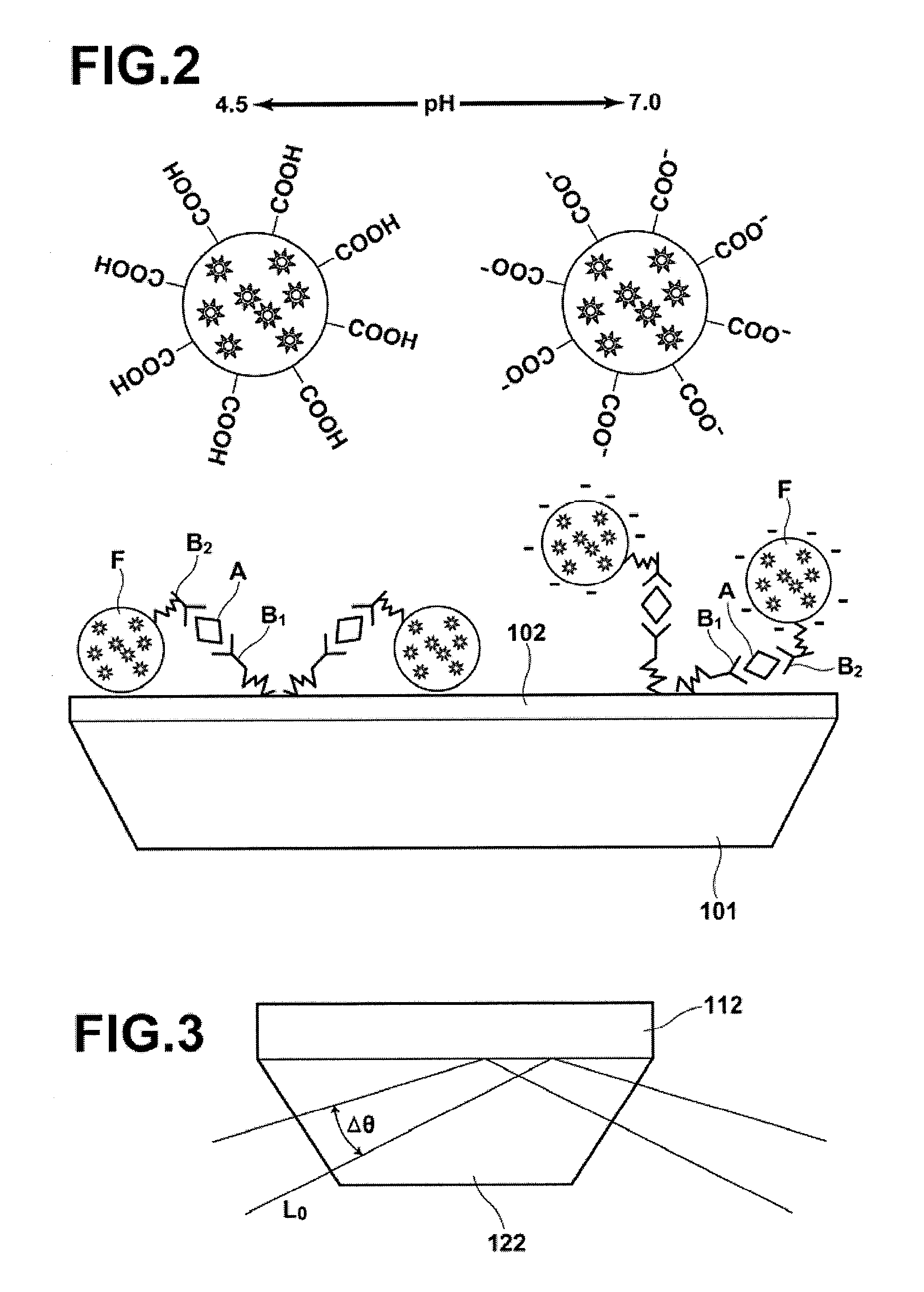 Detection method, detection apparatus, and sample cell and kit for detection