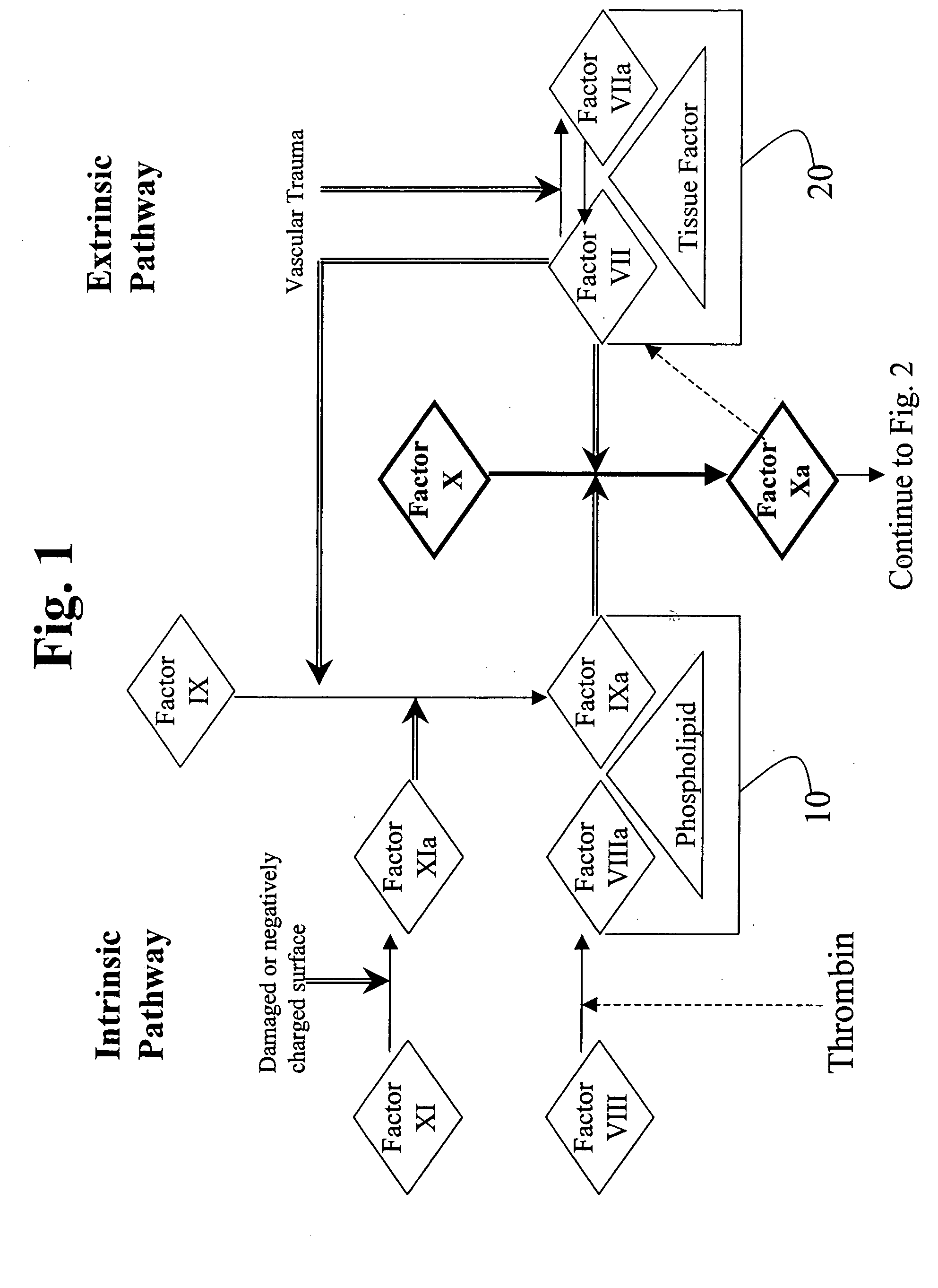 Aryl and heteroaryl compounds, compositions, methods of use