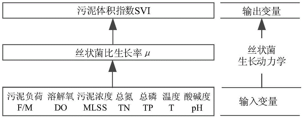 Method for building filamentous bacterium SVI (sludge volume index) characteristic model