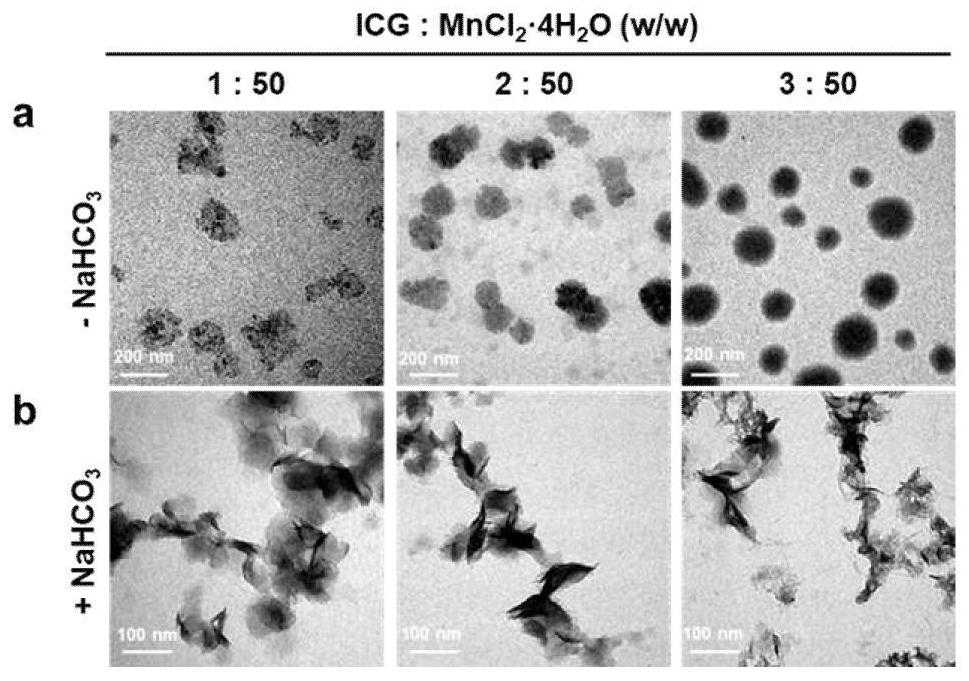 Preparation method and application of medical carbonate nano material