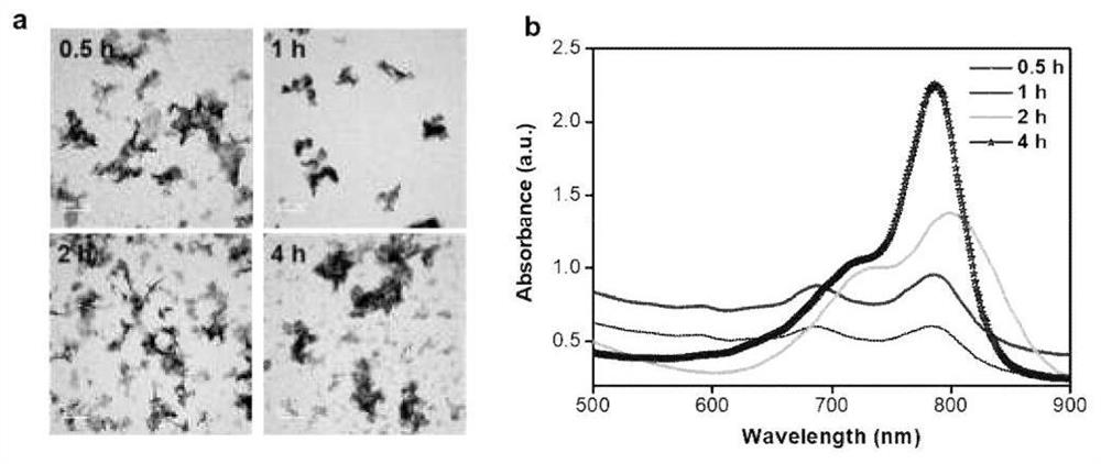 Preparation method and application of medical carbonate nano material