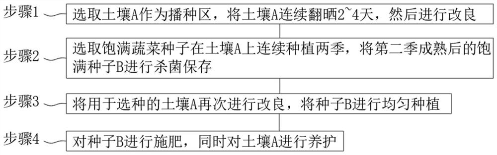 Vegetable seed cultivation method capable of improving vegetable disease resistance