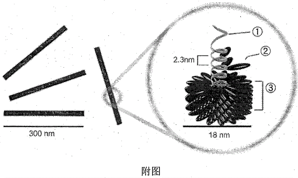 Pyrimidine amide compound and its preparation method, anti-HIV activity and anti-TMV activity