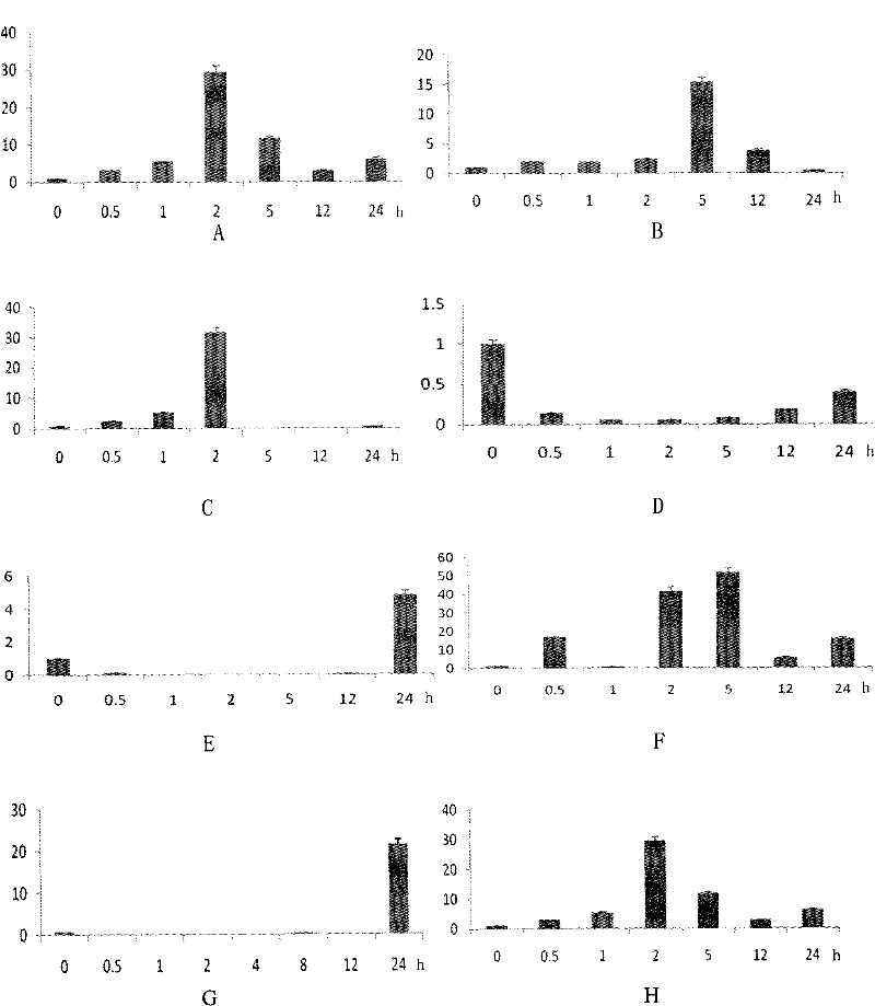 Plant stress tolerance related protein GmTPRPK1, encoding gene thereof, and application thereof