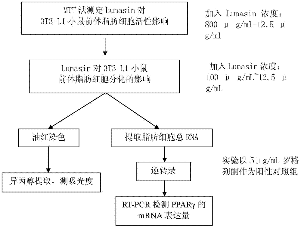 Application of Lunasin polypeptide in aspect of preparing substance with weight-reducing activity
