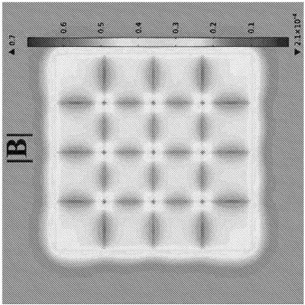 Directed self-assembly of electronic components using diamagnetic levitation