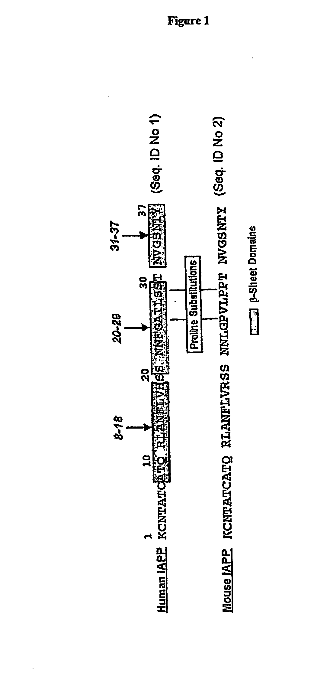 Inhibitors of Amyloid Fibril Formation and Uses Thereof