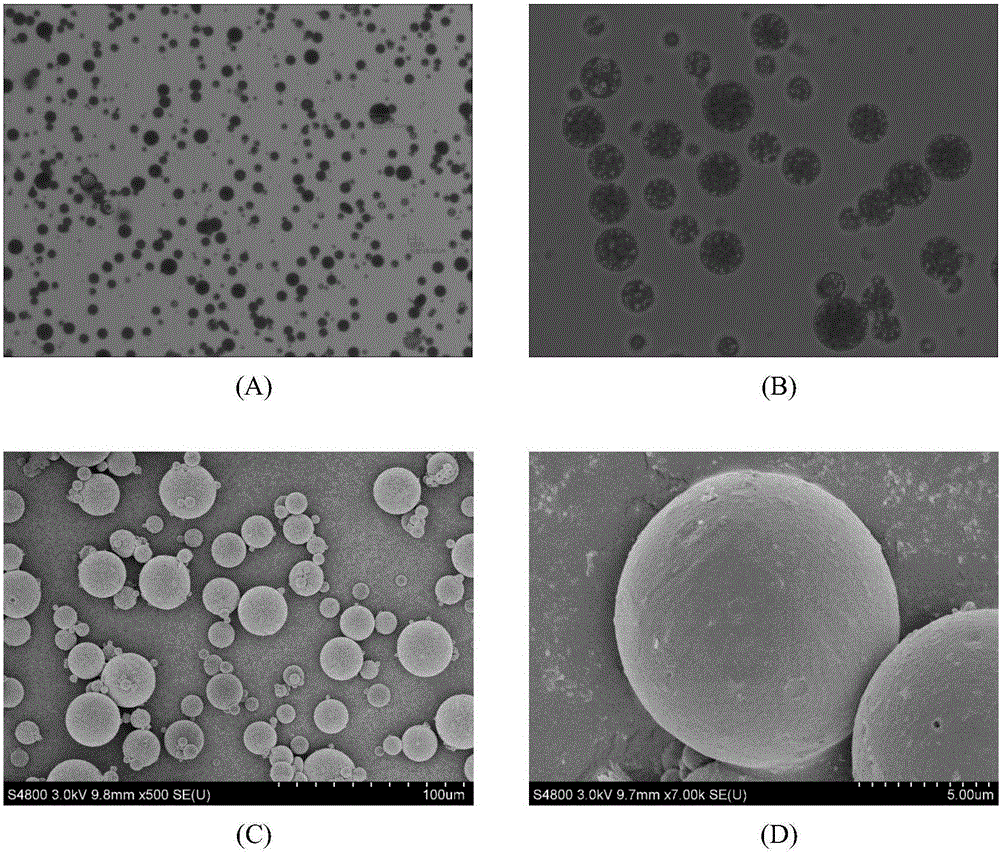 Lung-targeted PLGA (polylactic-co-glycolic-acid) microsphere preparation of cefquinome sulfate and preparation method of lung-targeted PLGA microsphere preparation