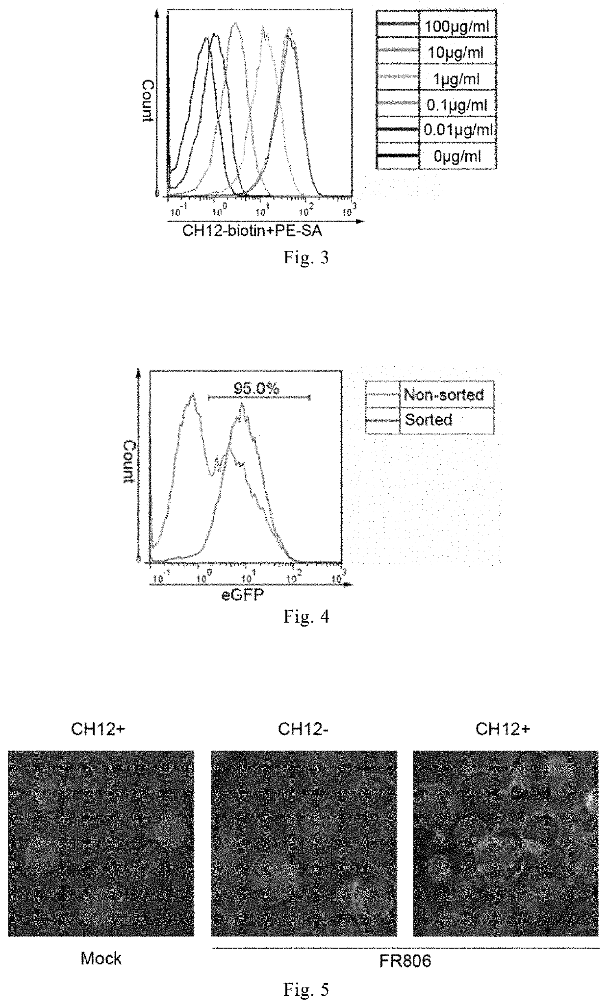 Fusion protein and applications thereof