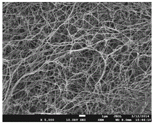 Preparation method of orderly nanofiber membrane based on bacterial cellulose