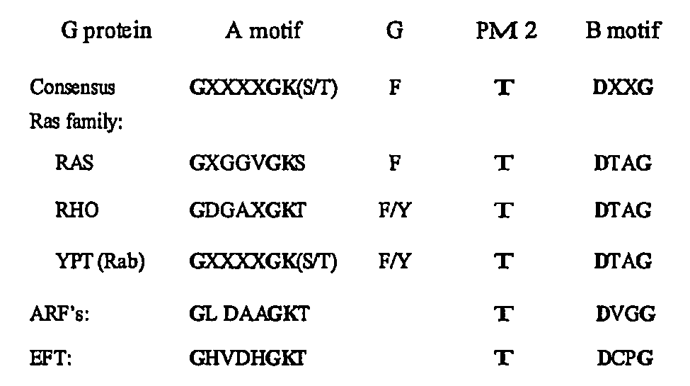 Methods and compositions for identifying anti-hcv agents