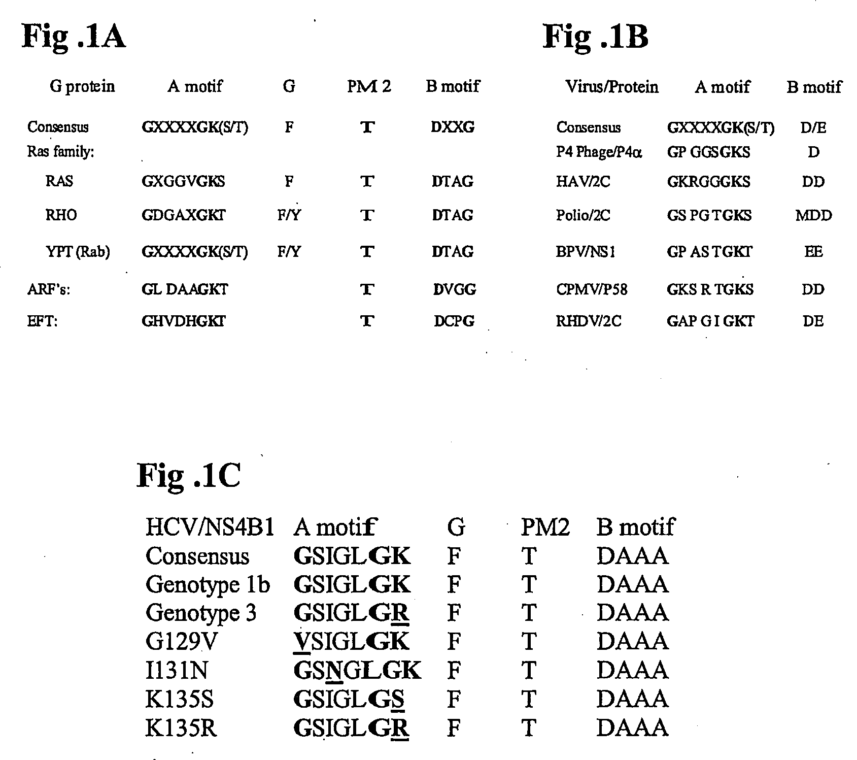 Methods and compositions for identifying anti-hcv agents