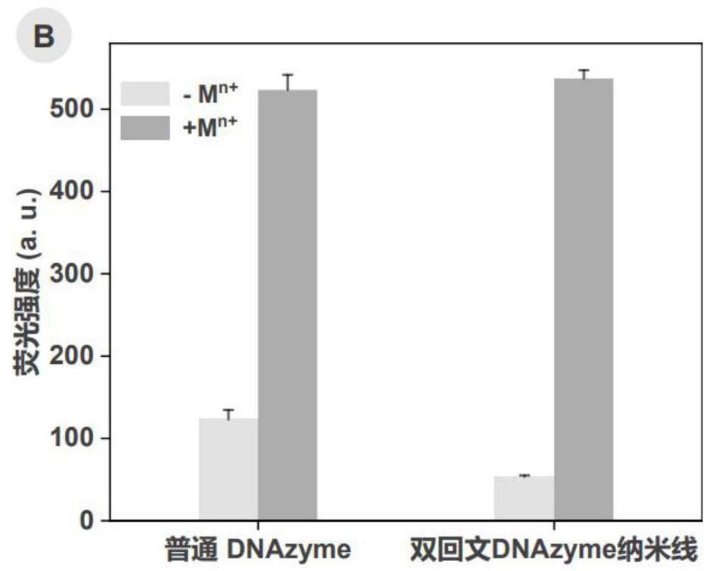 Double-palindromic DNAzyme nanowire sensor as well as preparation method and application thereof