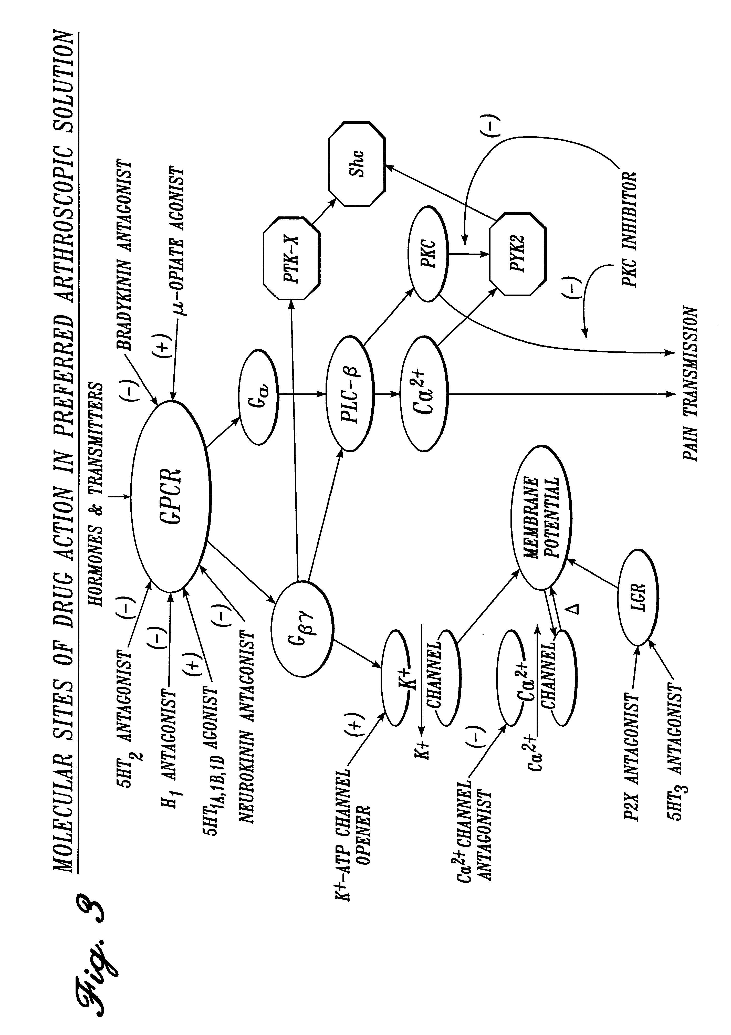 Irrigation solution and method for inhibition of pain, inflammation, spasm and restenosis