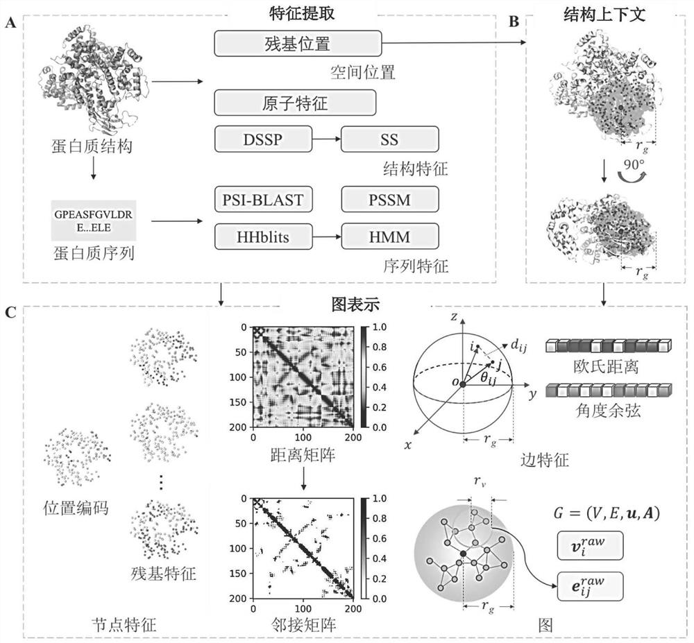 Protein and nucleic acid binding site prediction method based on graph neural network characterization