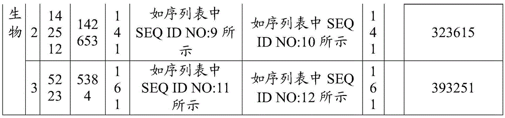 Qualitative and quantitative detection method for paddy microorganisms