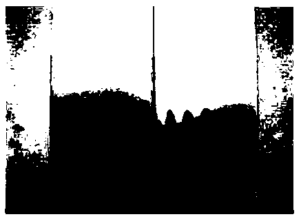 A kind of synthetic method of pholcodine