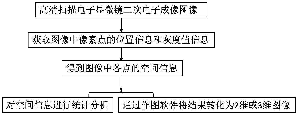 Material surface topological structure grading quantitative analysis method and application