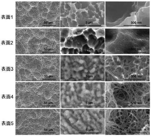 Material surface topological structure grading quantitative analysis method and application