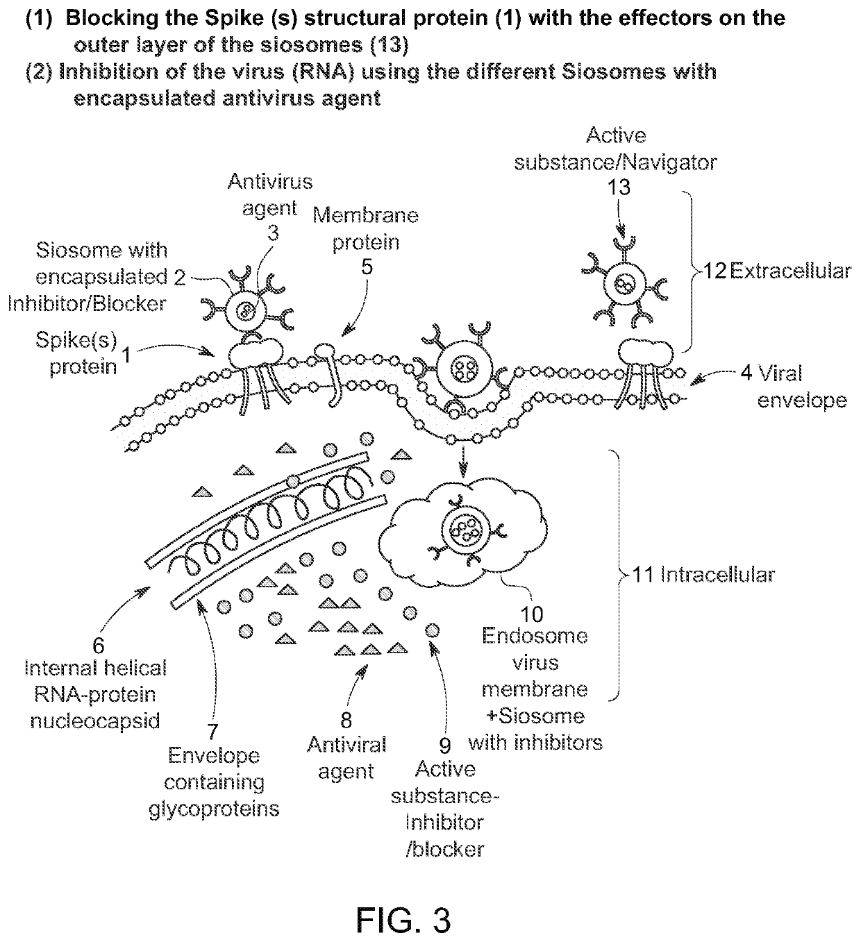 Organosilicon carriers for use in treating infections and/or diseases caused by SARS viruses