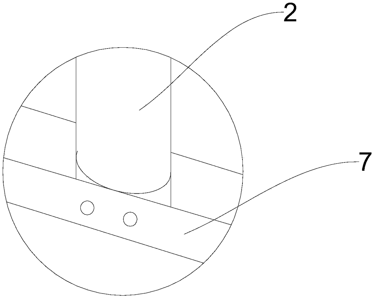 Interplanting method of tomatoes and pakchoi