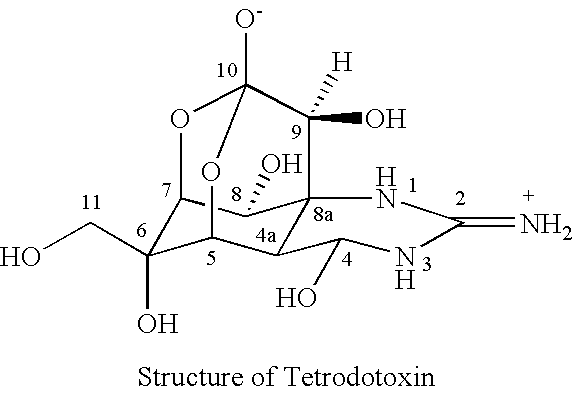 Stable pharmaceutical composition of freeze-dried tetrodotoxin powder