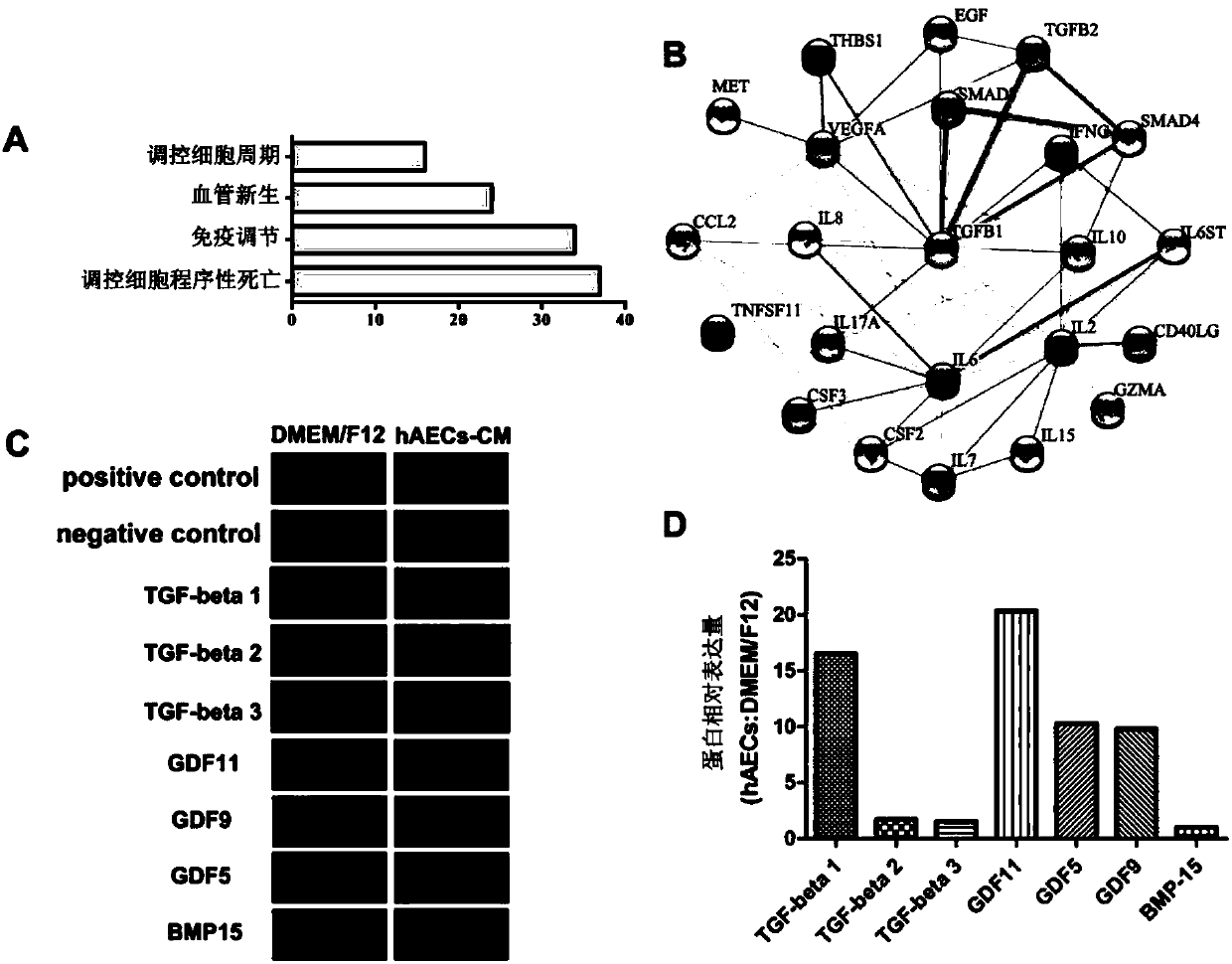 Application of human amniotic epithelial cell secretory factor in preparation of medicine for ovarian function restoration