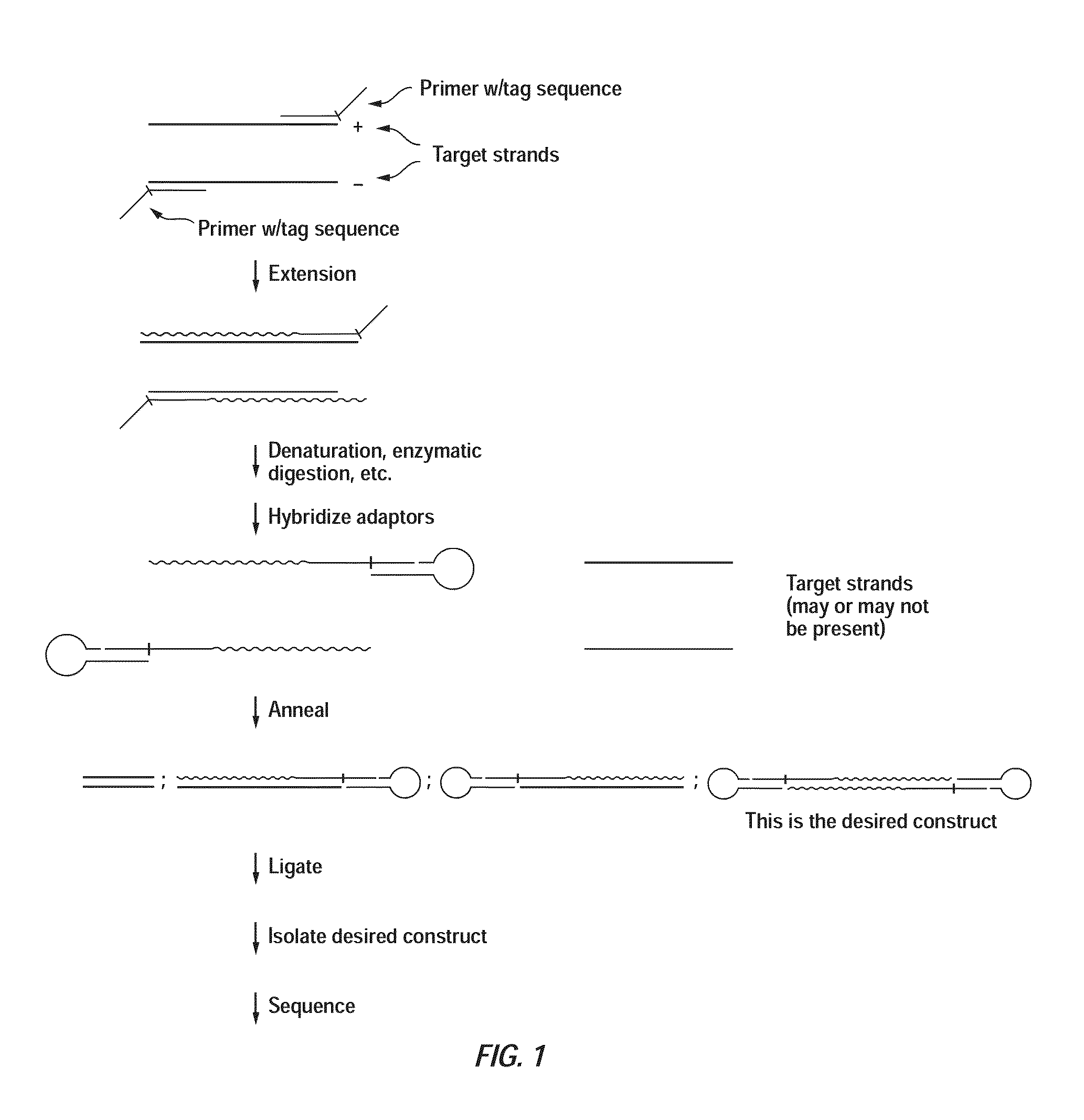 Closed nucleic acid structures