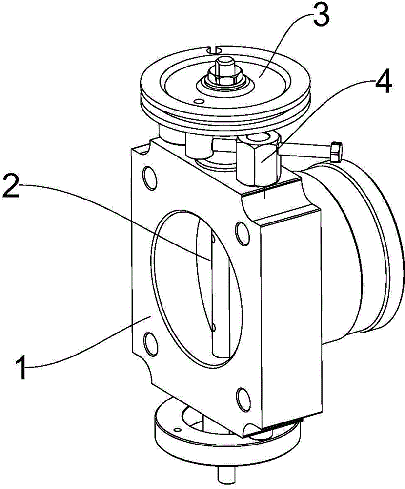 Flap valve with flow limiting device