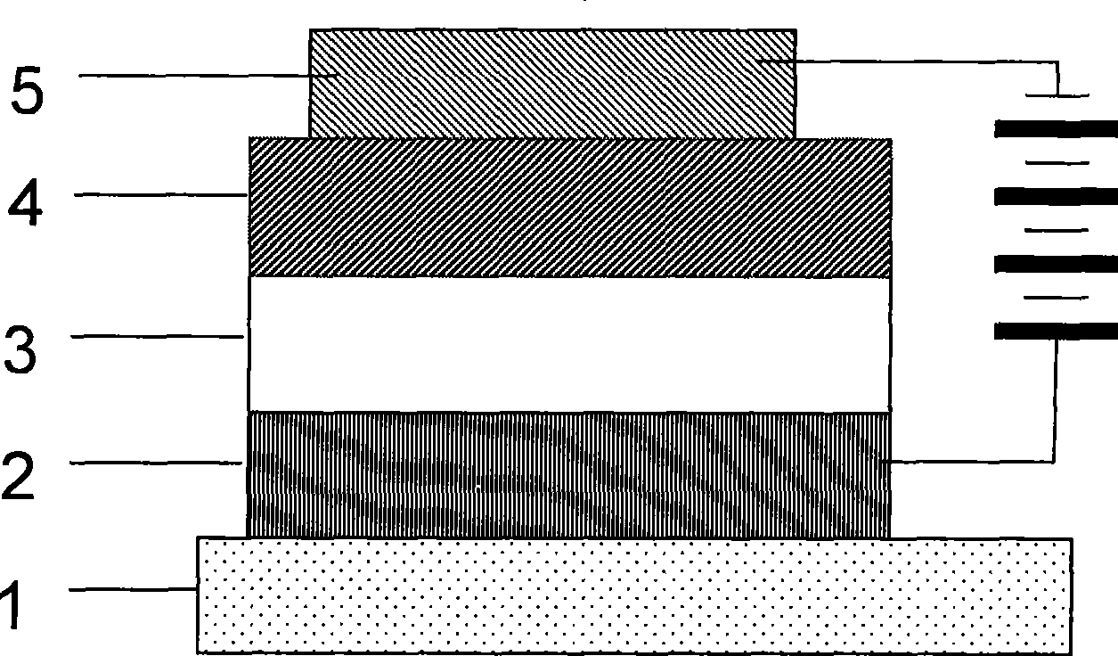 Polymer electroluminescent device and method for producing same