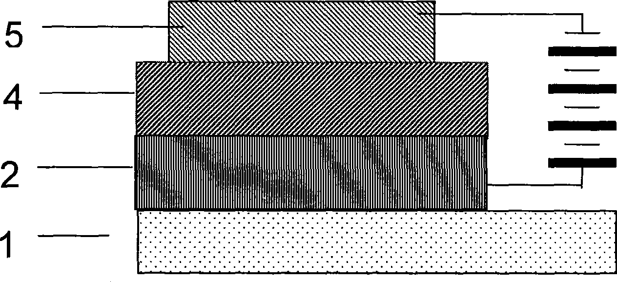 Polymer electroluminescent device and method for producing same