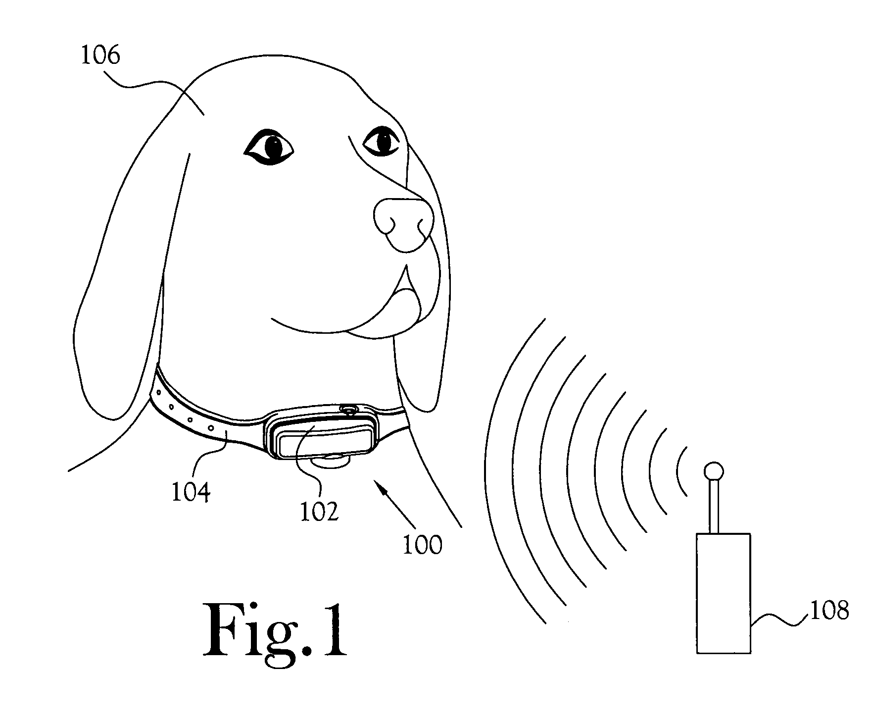 Variable voltage electronic pet training apparatus