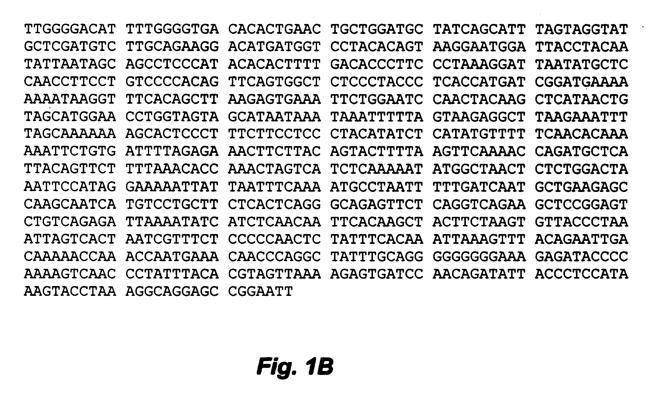 Methods and use of motoneuronotrophic factor