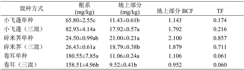 Method for restoring cadmium contaminated soil by means of hybrid planting