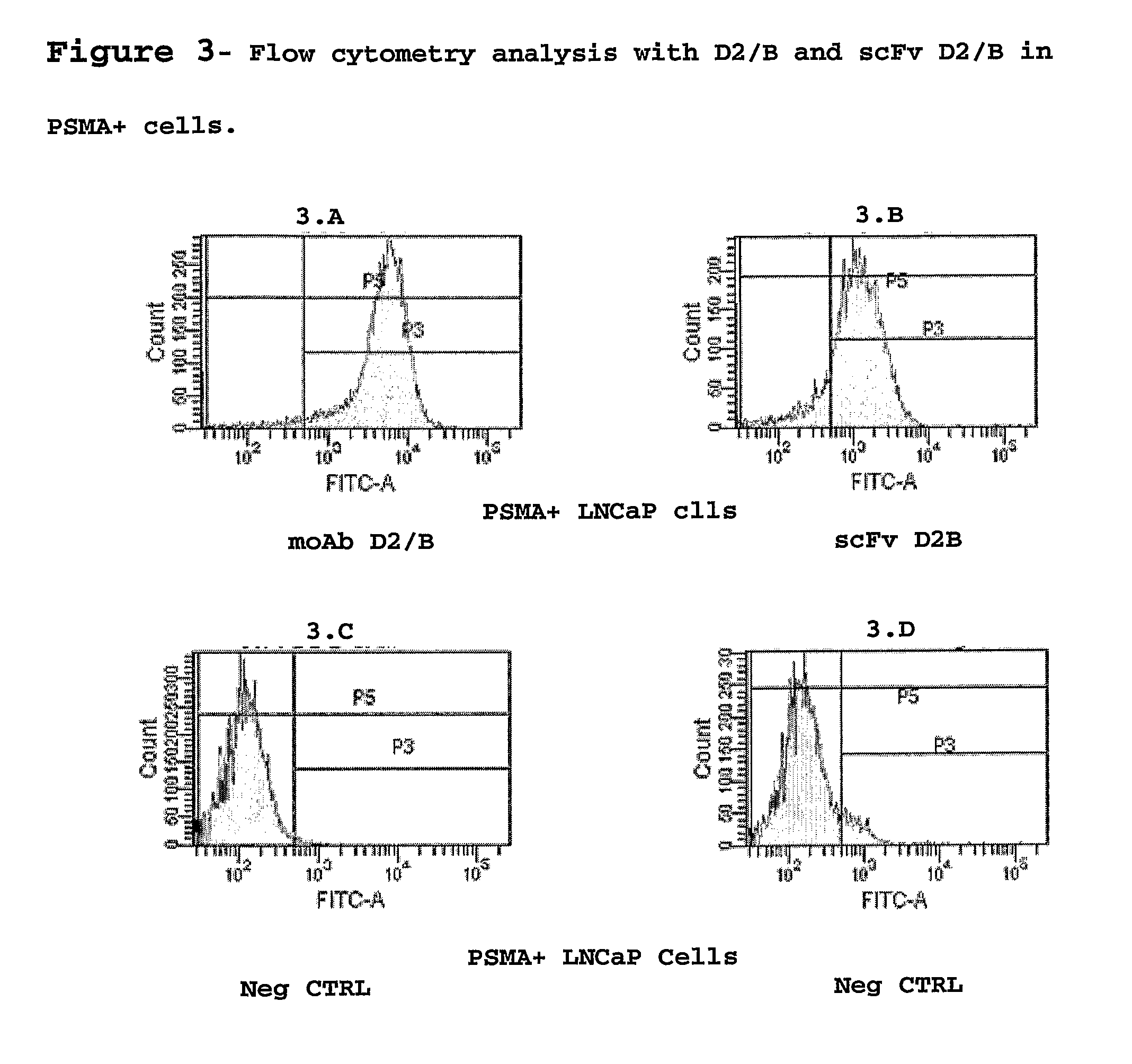 Isolated monoclonal antibody or fragment thereof binding prostate specific membrane antigen, conjugates and uses thereof