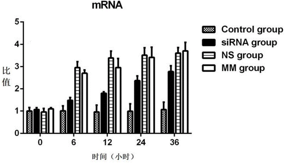 A small RNA interfering with TLR4 receptor and its application